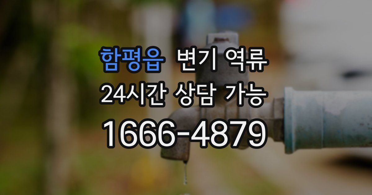 함평읍 변기 역류