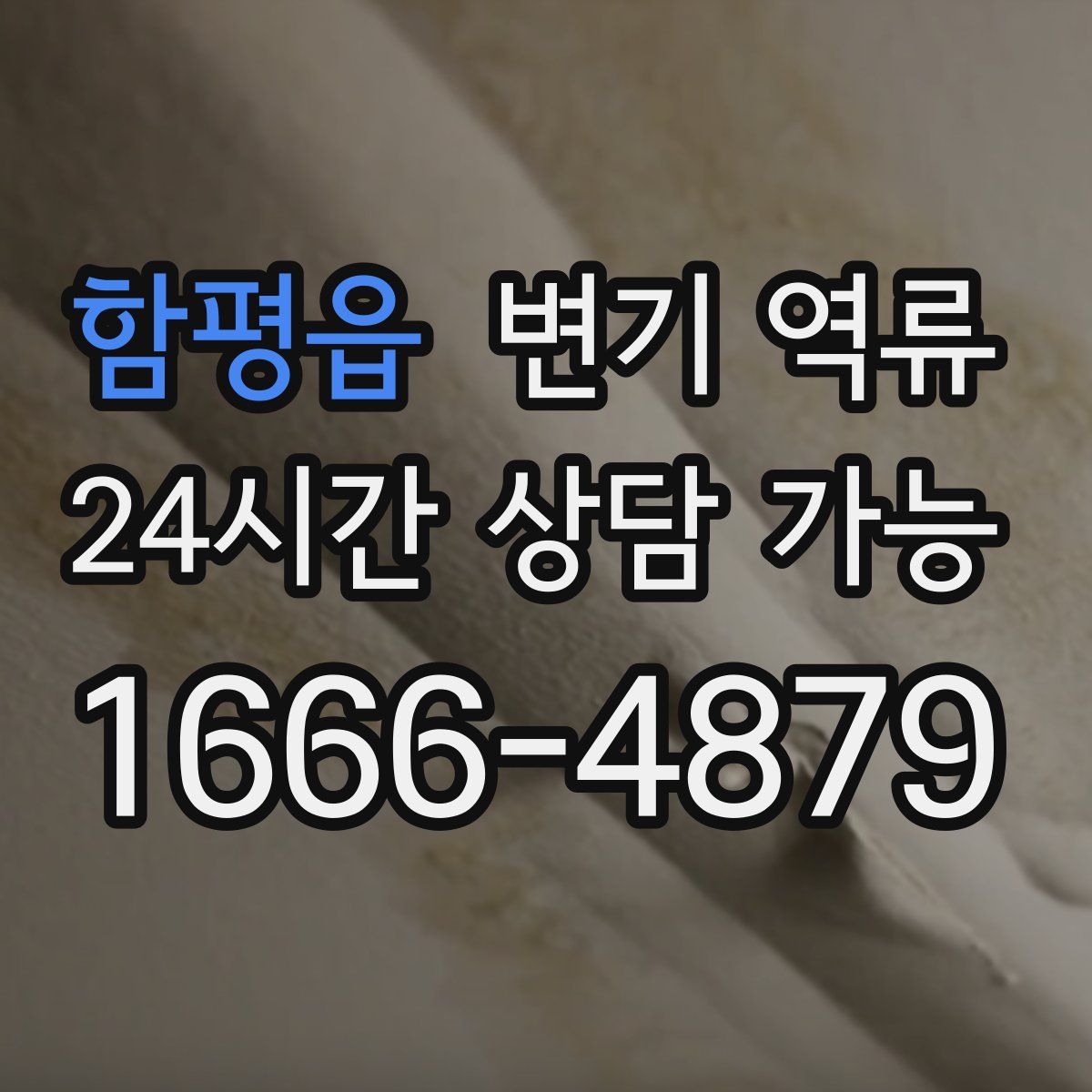 함평읍 변기 역류