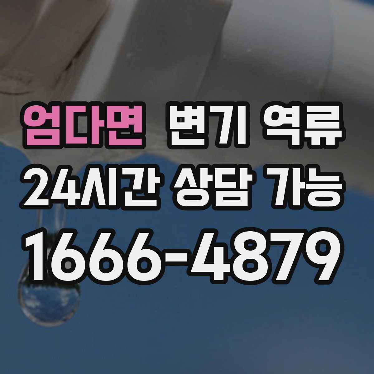 엄다면 변기 역류