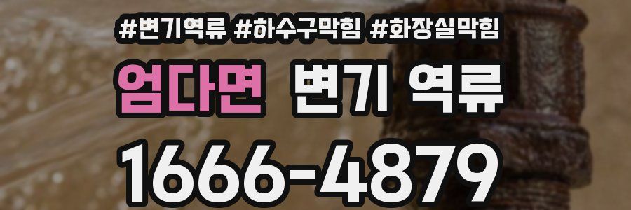 엄다면 변기 역류