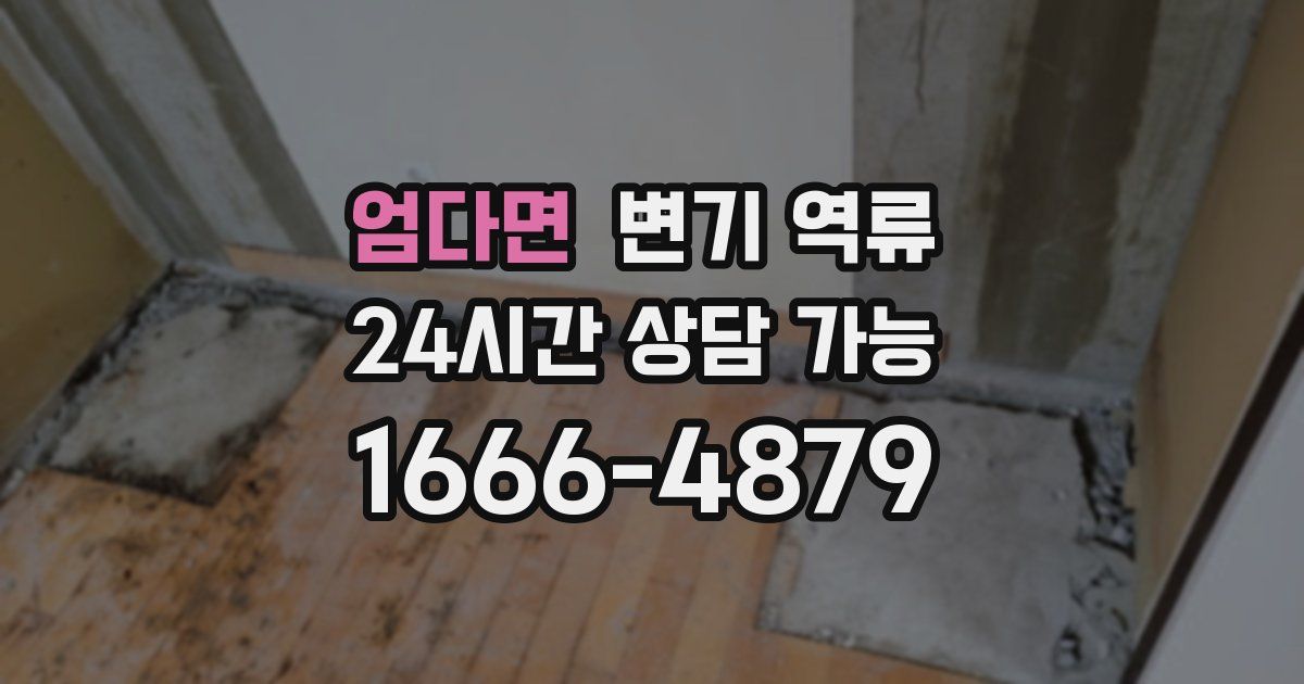 엄다면 변기 역류