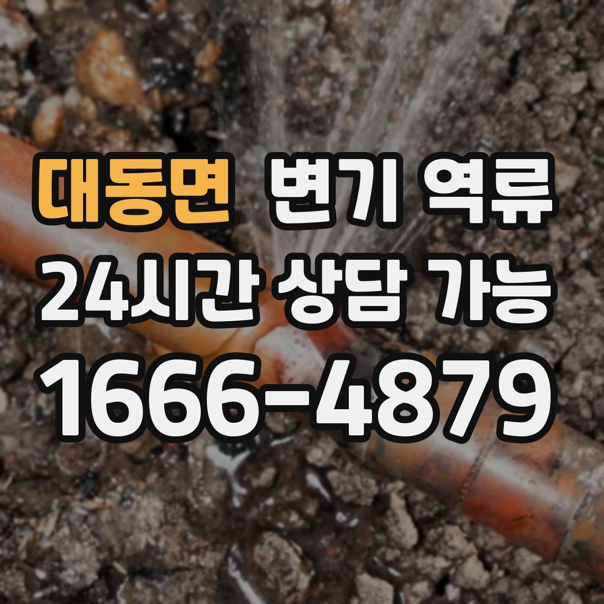 대동면 변기 역류