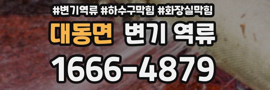 대동면 변기 역류