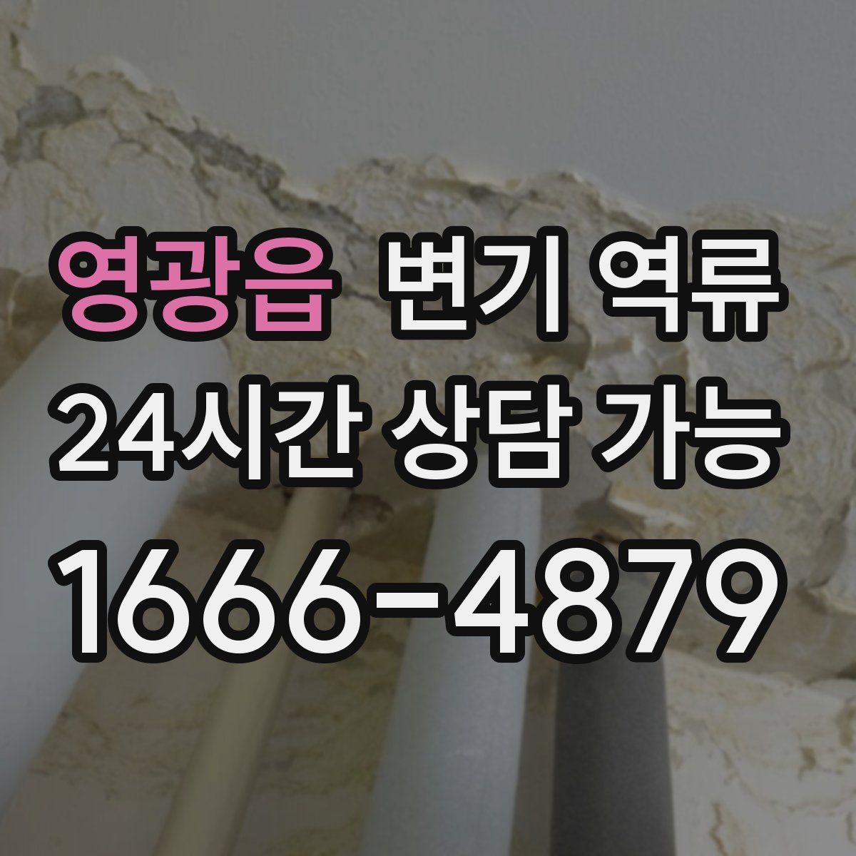 영광읍 변기 역류 비 오는 날만 반복될 때 체크해야 할 것