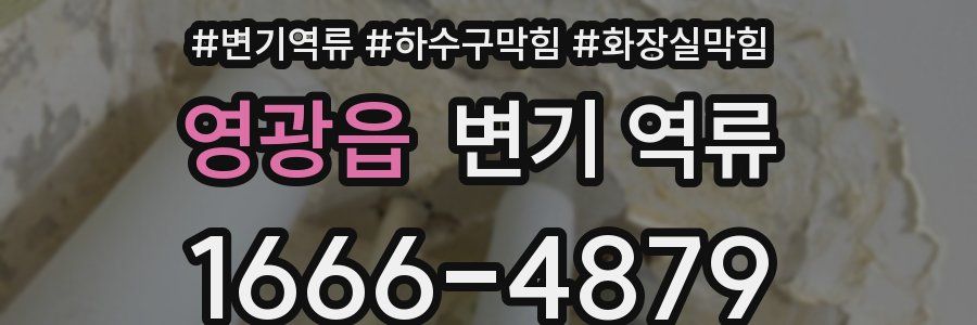 영광읍 변기 역류