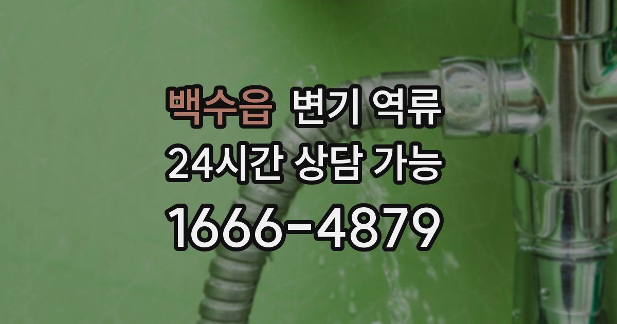 백수읍 변기 역류