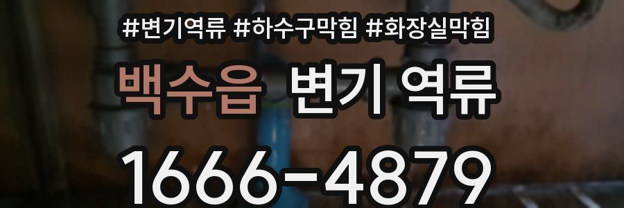 백수읍 변기 역류