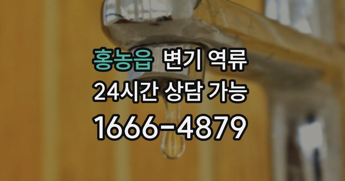 홍농읍 변기 역류