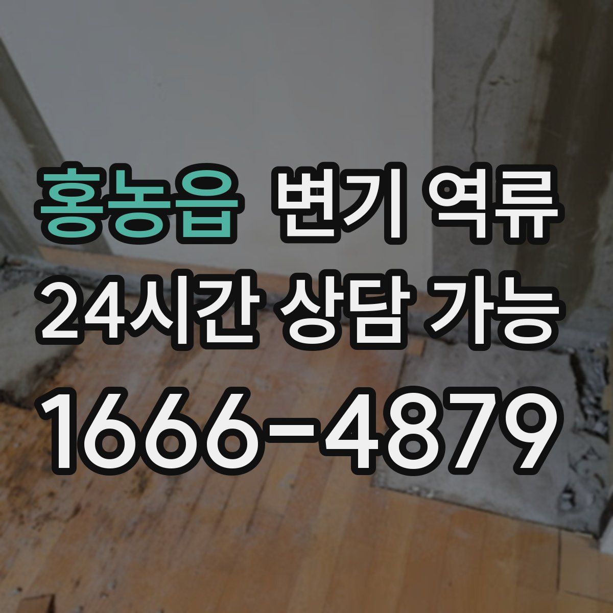 홍농읍 변기 역류