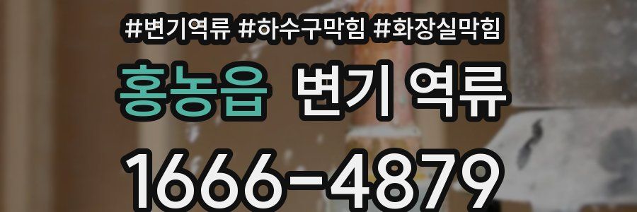 홍농읍 변기 역류