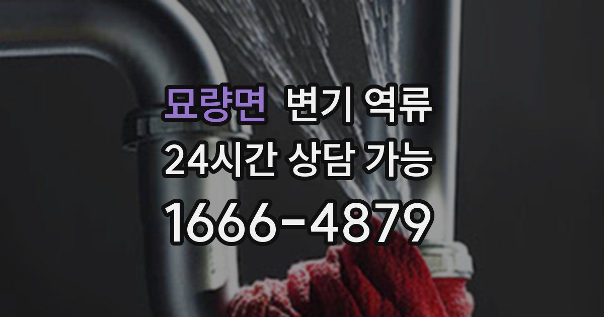 묘량면 변기 역류