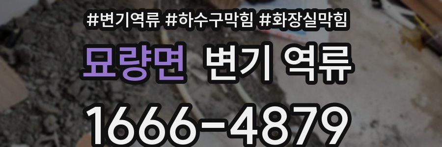 묘량면 변기 역류