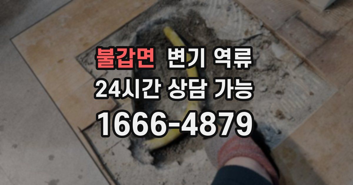 불갑면 변기 역류