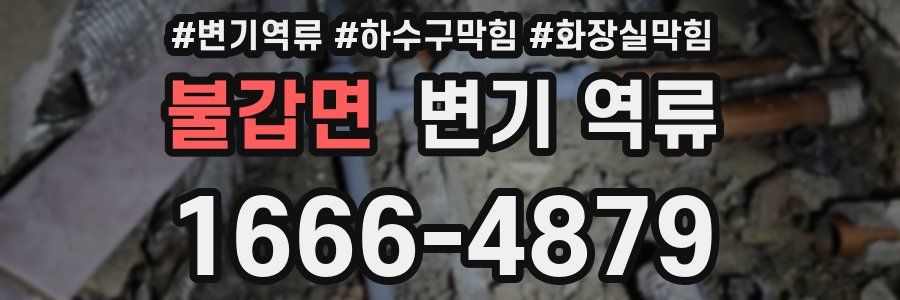 불갑면 변기 역류