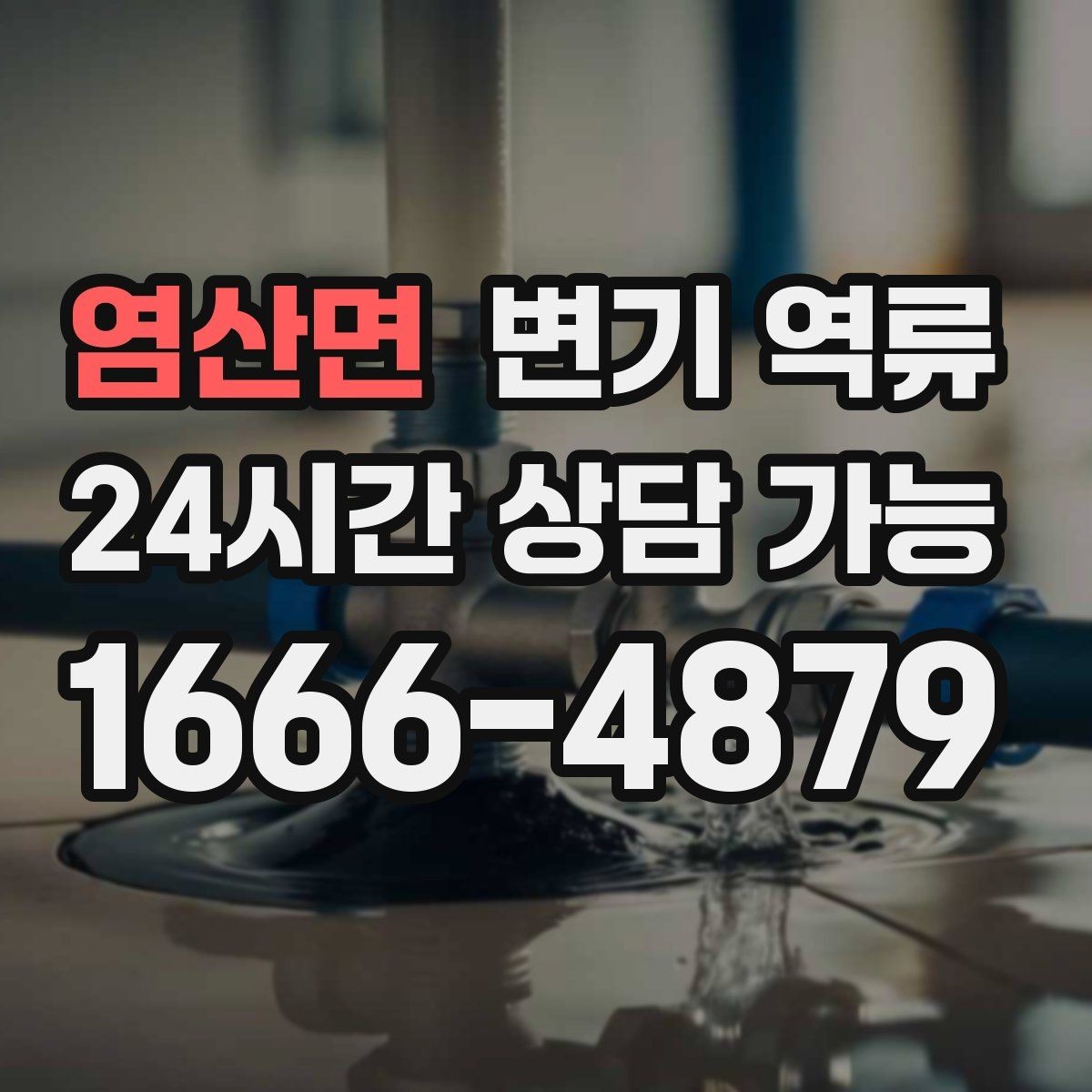 염산면 변기 역류 화학약품이 오히려 문제를 키우는 사례