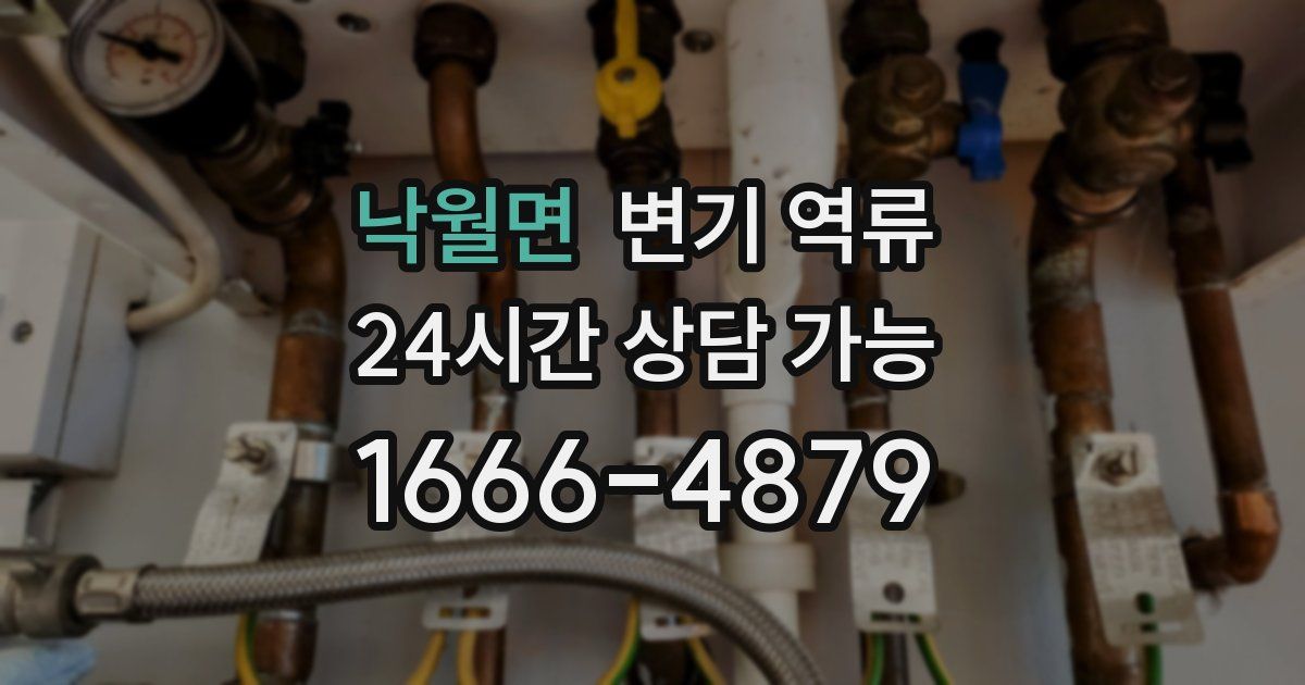 낙월면 변기 역류