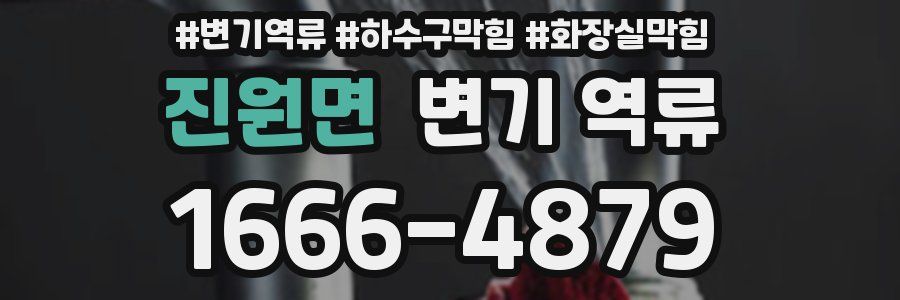 진원면 변기 역류