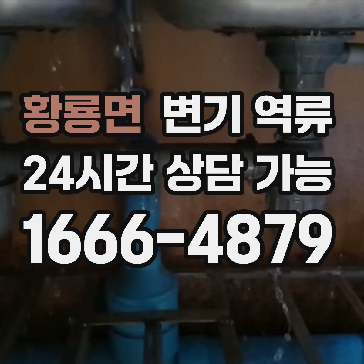 황룡면 변기 역류