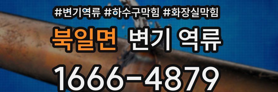 북일면 변기 역류