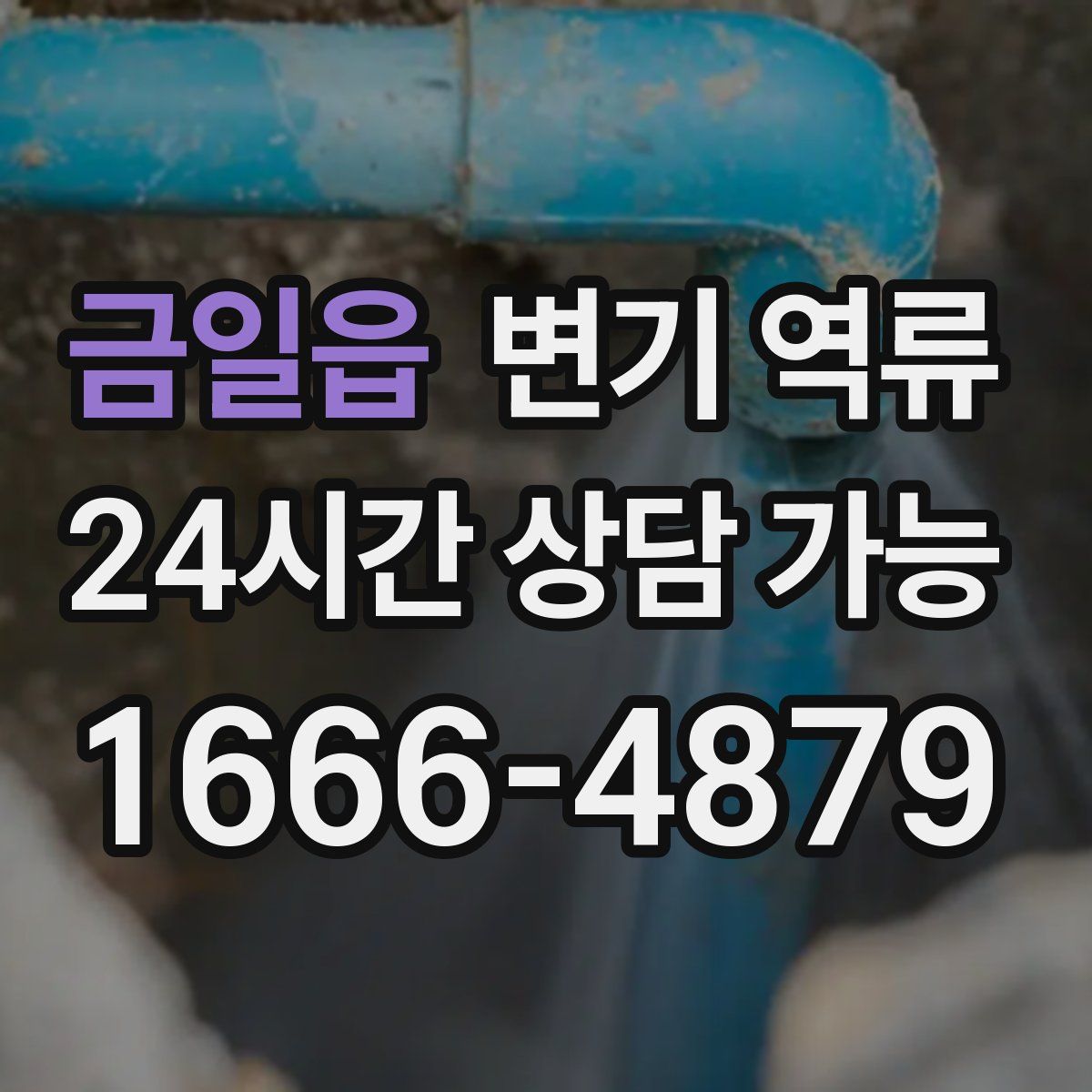 금일읍 변기 역류