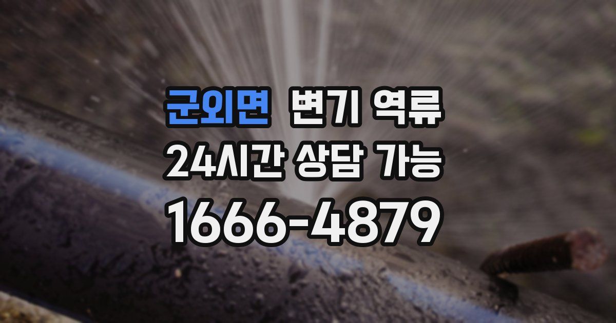 군외면 변기 역류