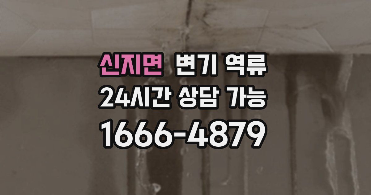 신지면 변기 역류