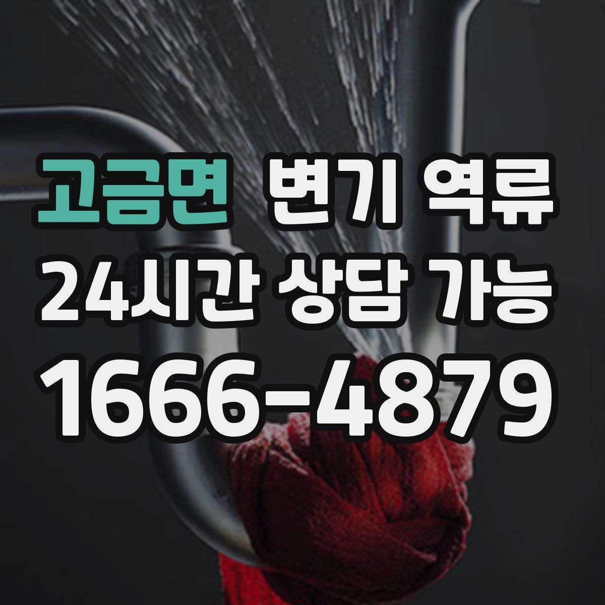 고금면 변기 역류
