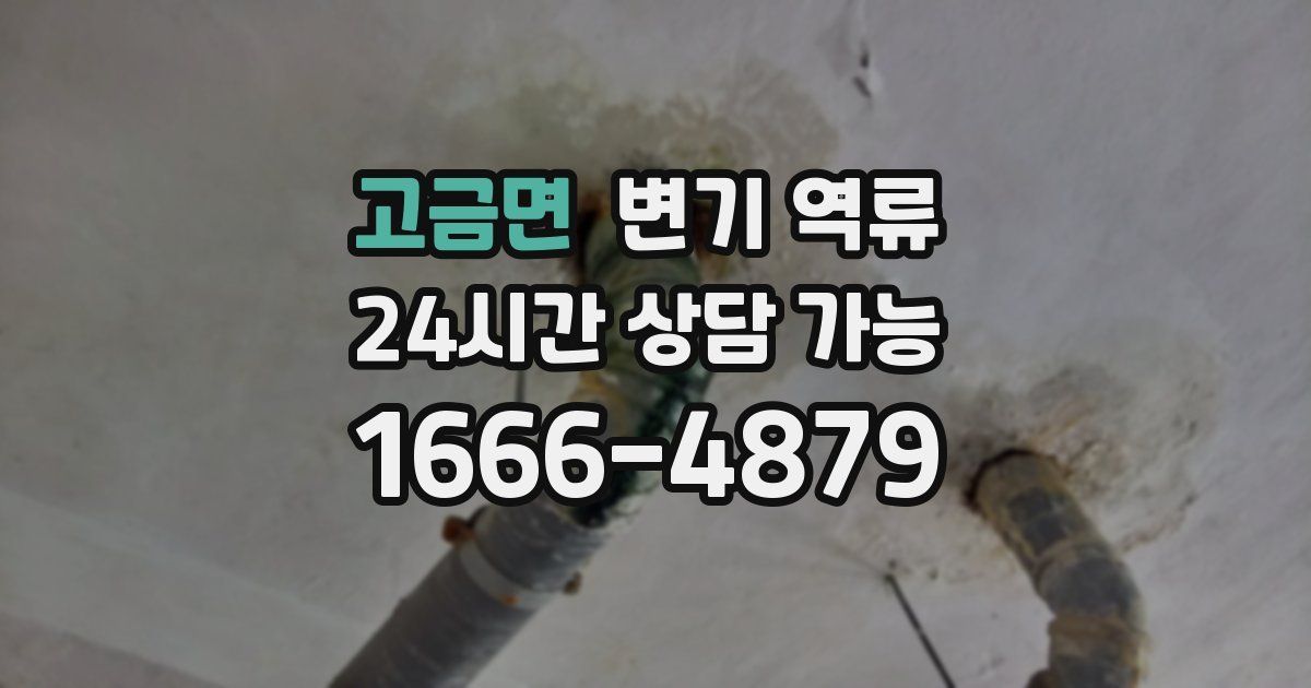 고금면 변기 역류