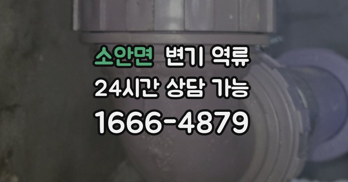 소안면 변기 역류
