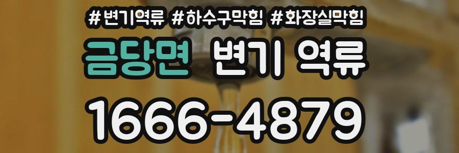 금당면 변기 역류