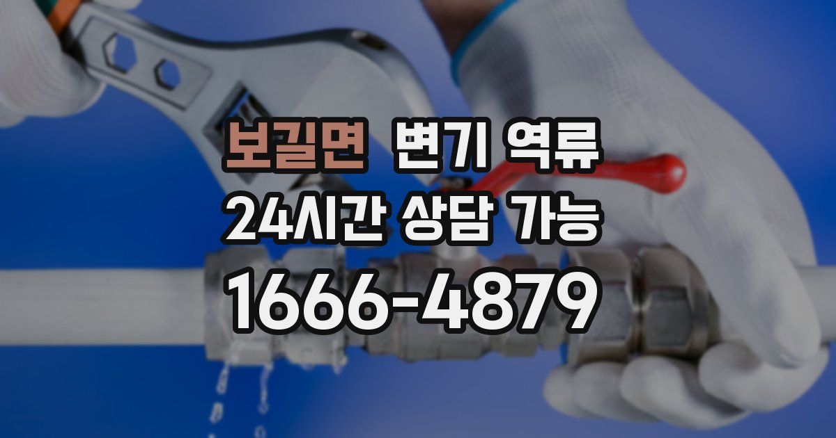 보길면 변기 역류