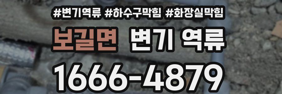 보길면 변기 역류
