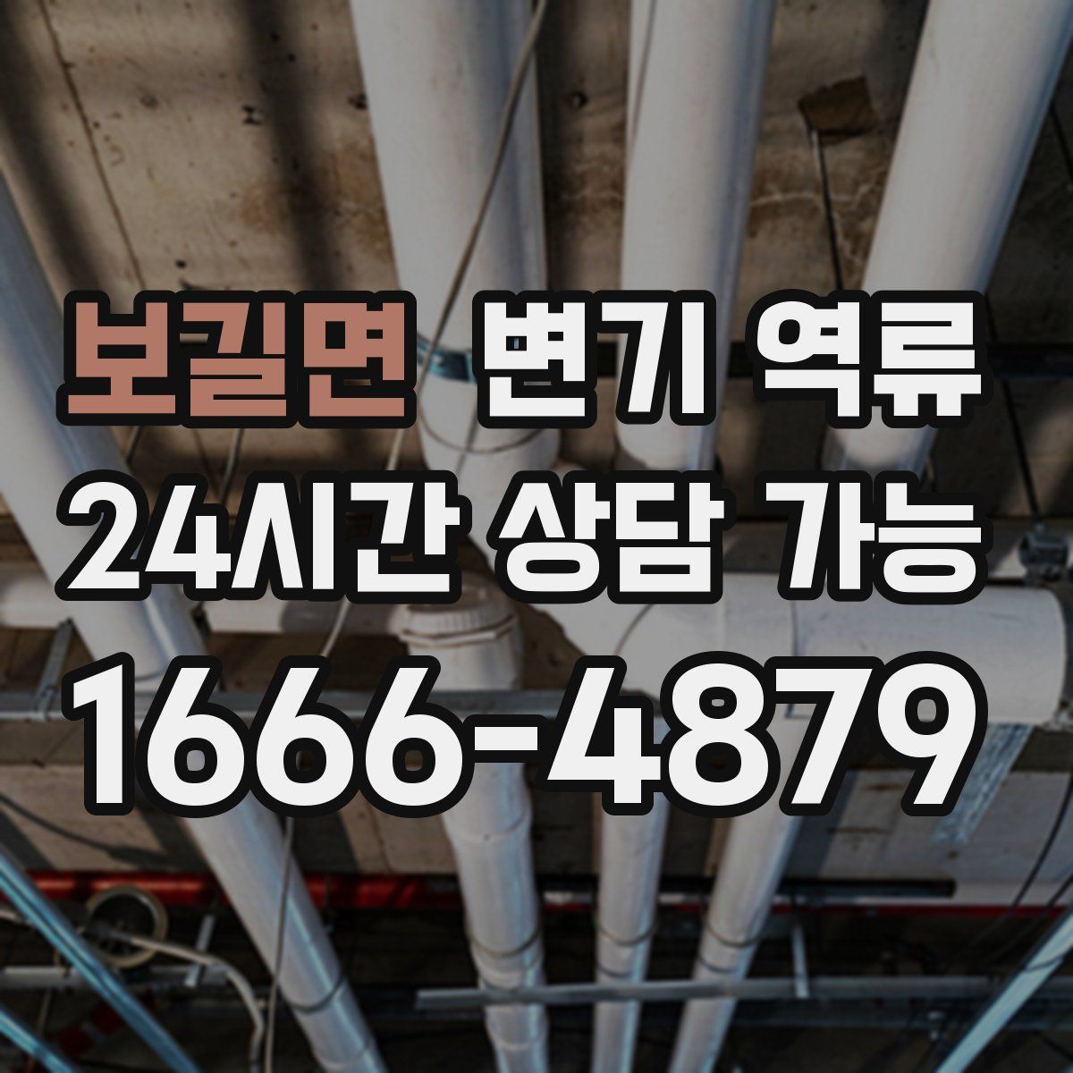 보길면 변기 역류