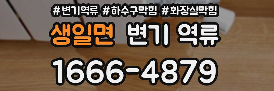 생일면 변기 역류