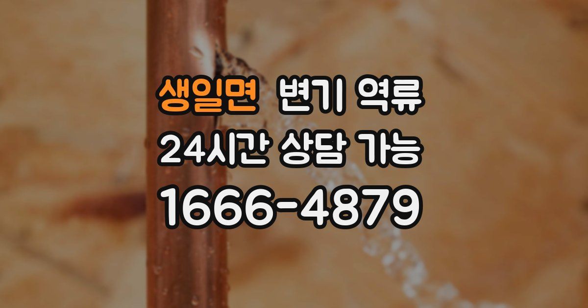 생일면 변기 역류