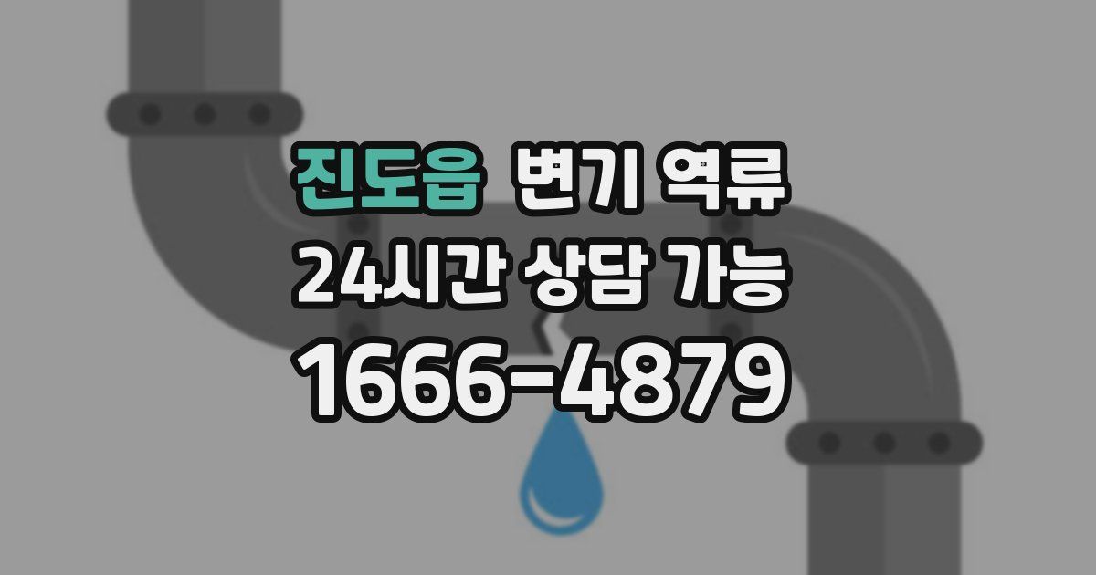 진도읍 변기 역류