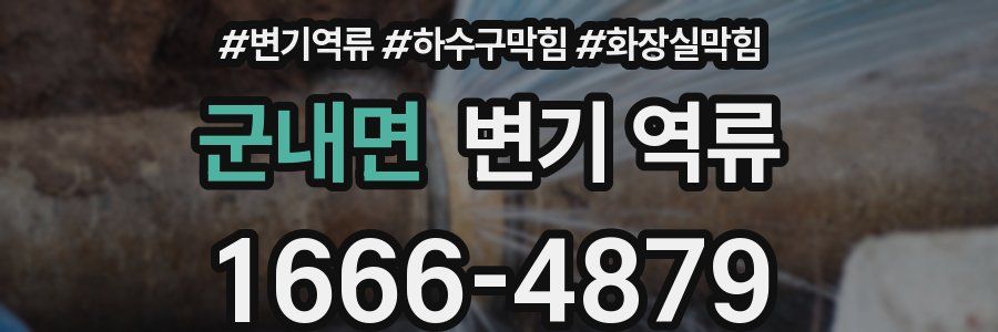 군내면 변기 역류