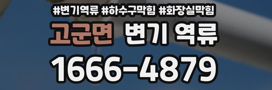 고군면 변기 역류