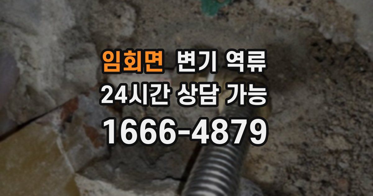 임회면 변기 역류