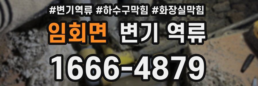 임회면 변기 역류