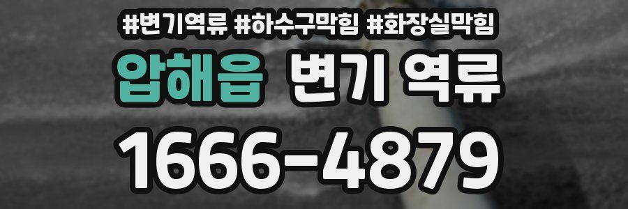 압해읍 변기 역류