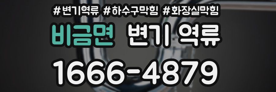 비금면 변기 역류