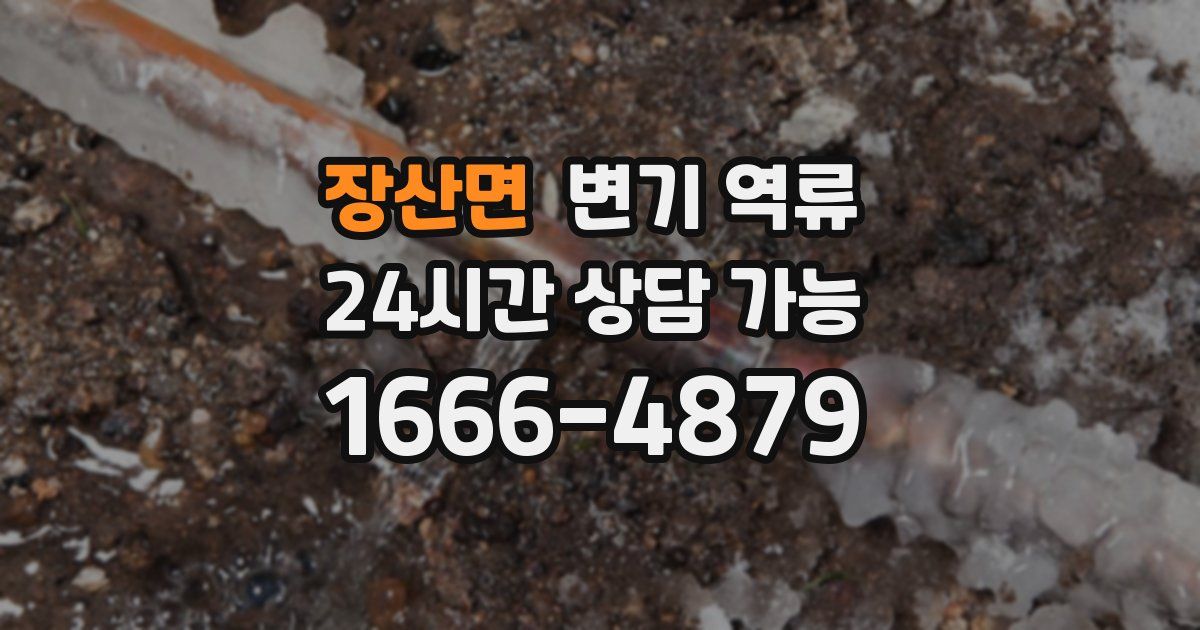 장산면 변기 역류