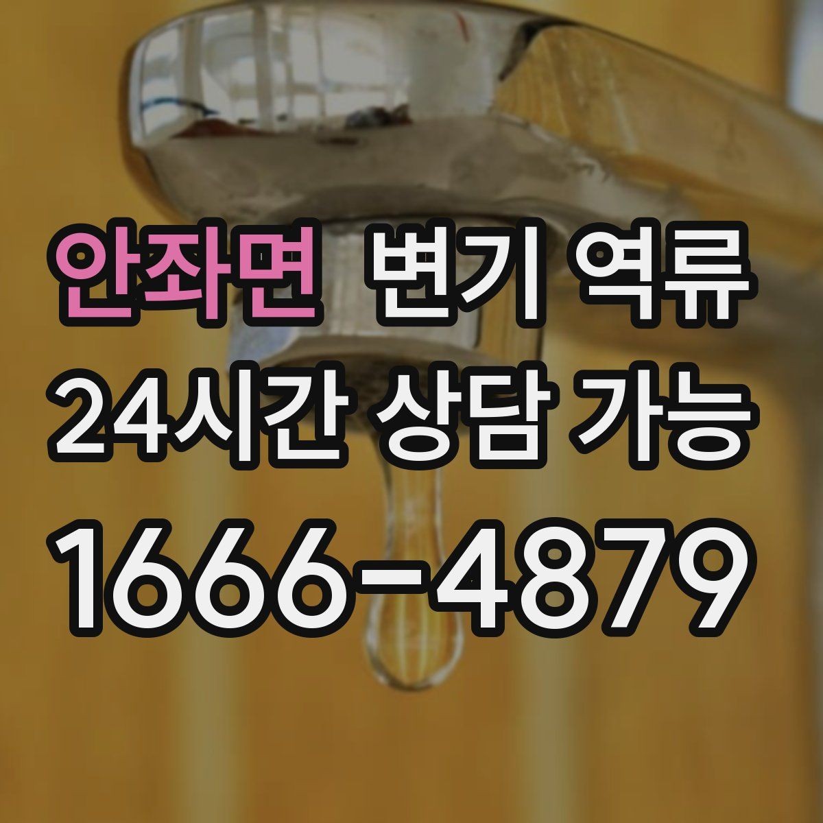 안좌면 변기 역류 변기만 문제인지 다른 배수구도 느린지 확인