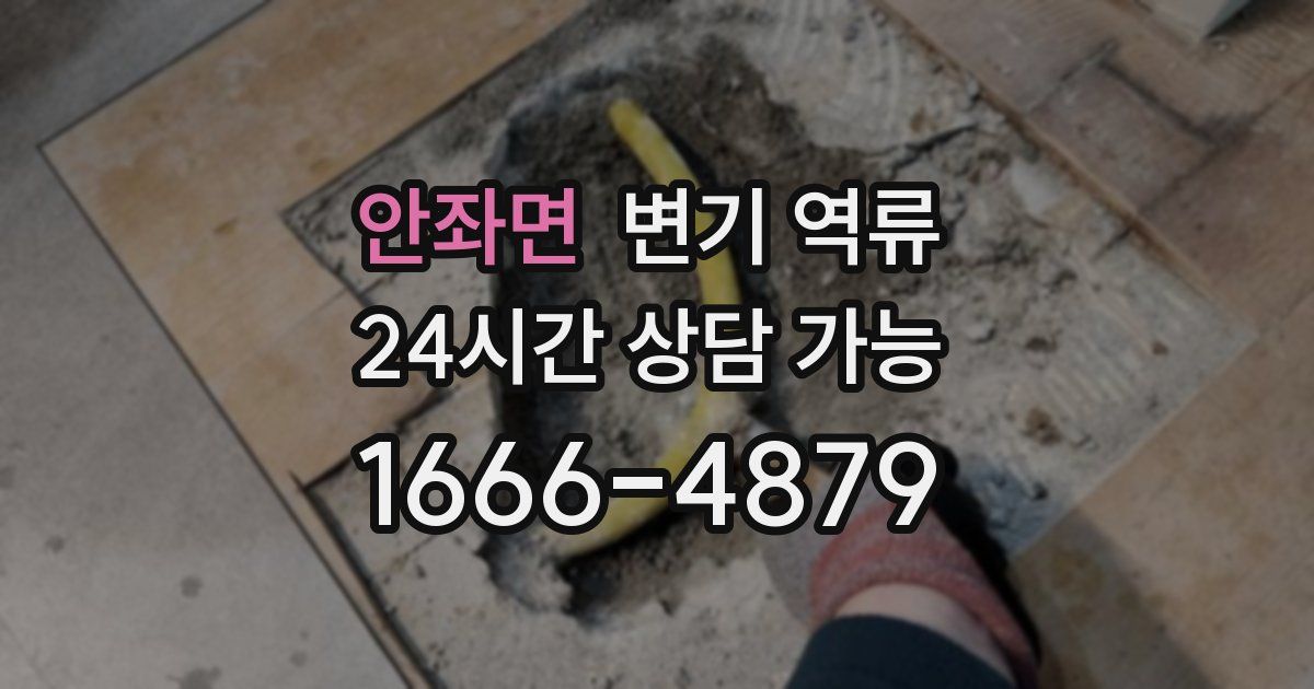 안좌면 변기 역류