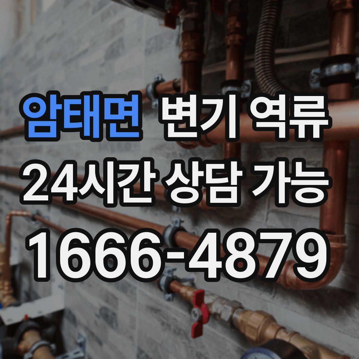 암태면 변기 역류