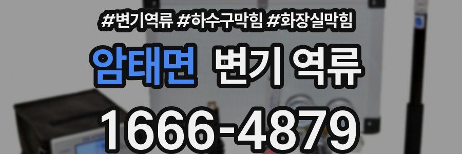 암태면 변기 역류