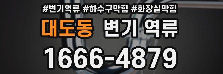 대도동 변기 역류