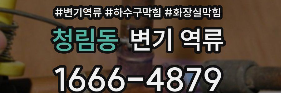 청림동 변기 역류