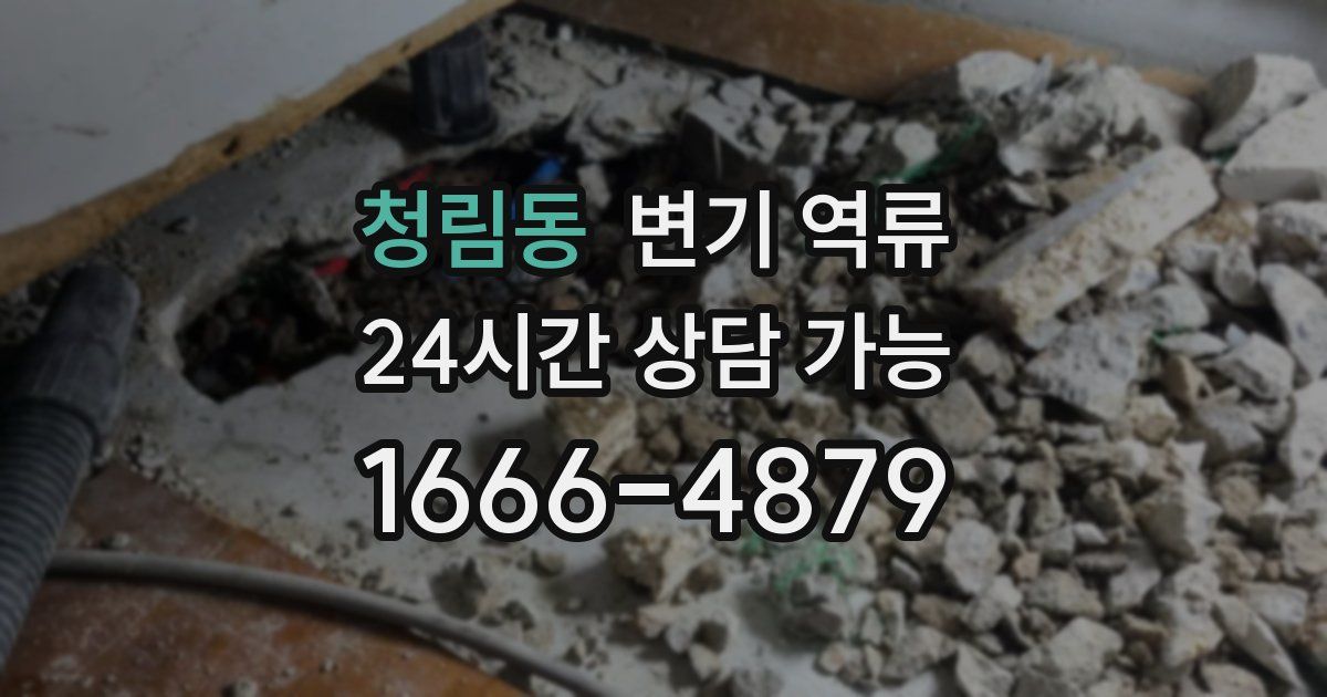 청림동 변기 역류